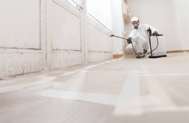 24/7 Emergency Crawl Space Mold Remediation experts in Pineville, PA