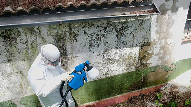 Top rated local Crawl Space Mold Remediation specialists in Pineville, PA